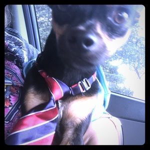 Meet your Posher, Deborah